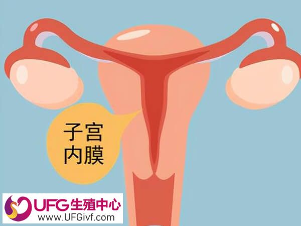 宫内膜厚度8到14mm时可移植胚胎