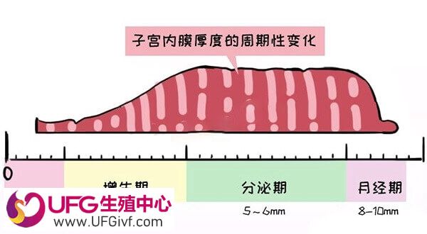 子宫内膜厚度多少做试管婴儿才能成功着床？